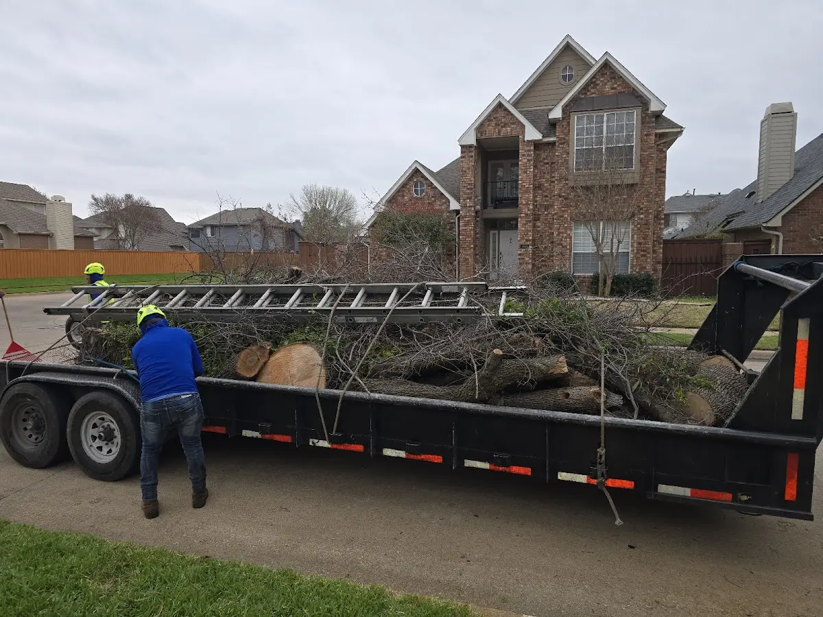 Expert Lot Clearing with proper safety equipment in Penfield